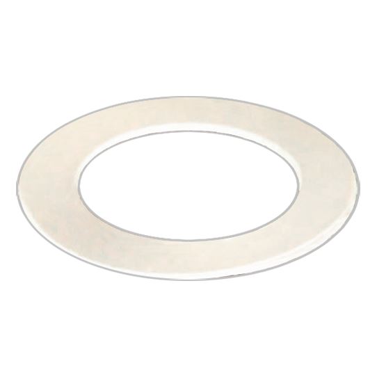 SC10221 Teflon Washer