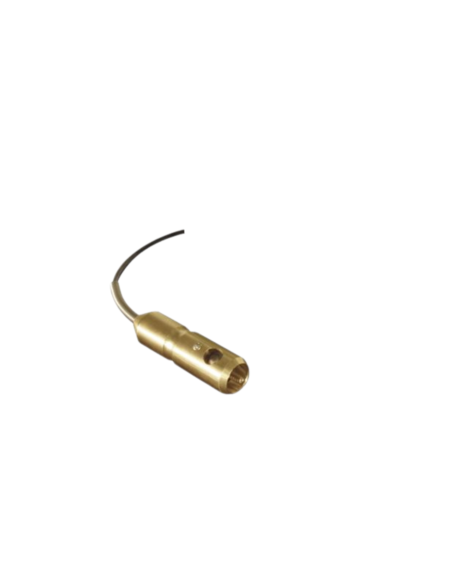 SC21326 Cable and Sensor Assembly, WB100G